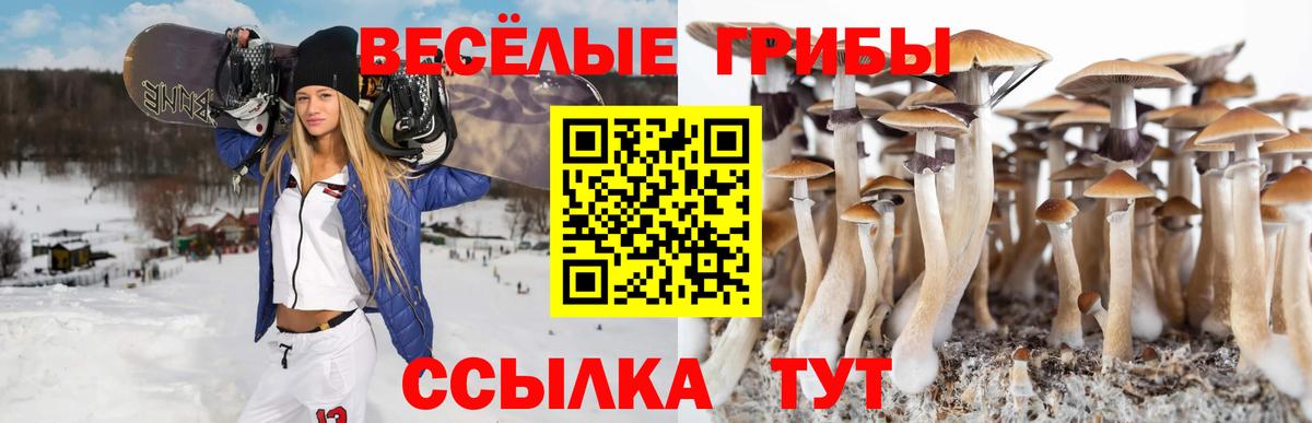 Псилоцибиновые грибы Psilocybine cubensis  Галлюциногенные грибы мицелий  Вход с VPN  Удомля 
