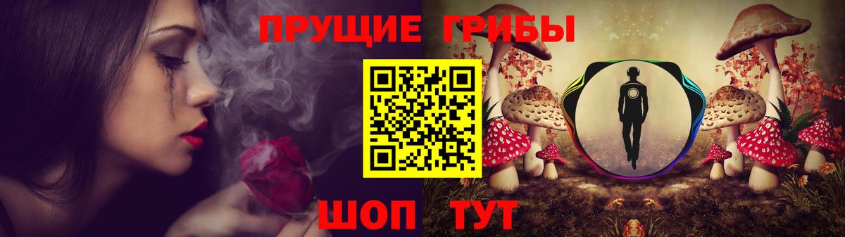 Галлюциногенные грибы ЛСД Удомля